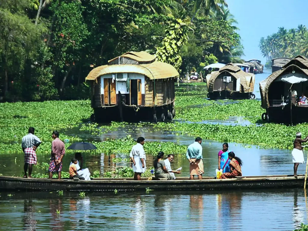 Cruising through the backwaters in Kerala is a sneak peek into the rich culture of the local people