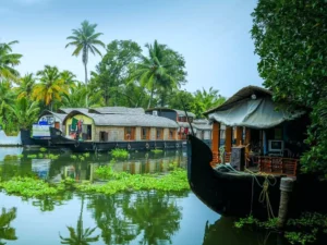 Kerala Backwaters How to Choose the Right Houseboat Experience