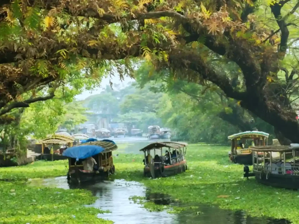 The best time to visit the backwaters in Kerala is from October to February