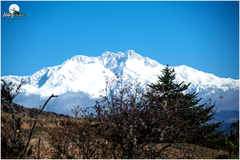 Phalut route passes through deep forests, protected wildlife zones, and high-altitude meadows along the Nepal–India border
