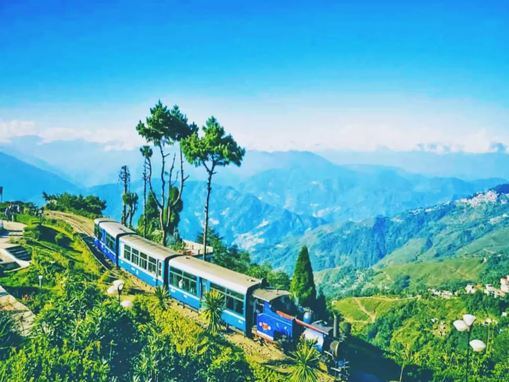 For families who enjoy cooler climates, Darjeeling would probably be a must-visit place, which provides toy-train rides, tea estate tours