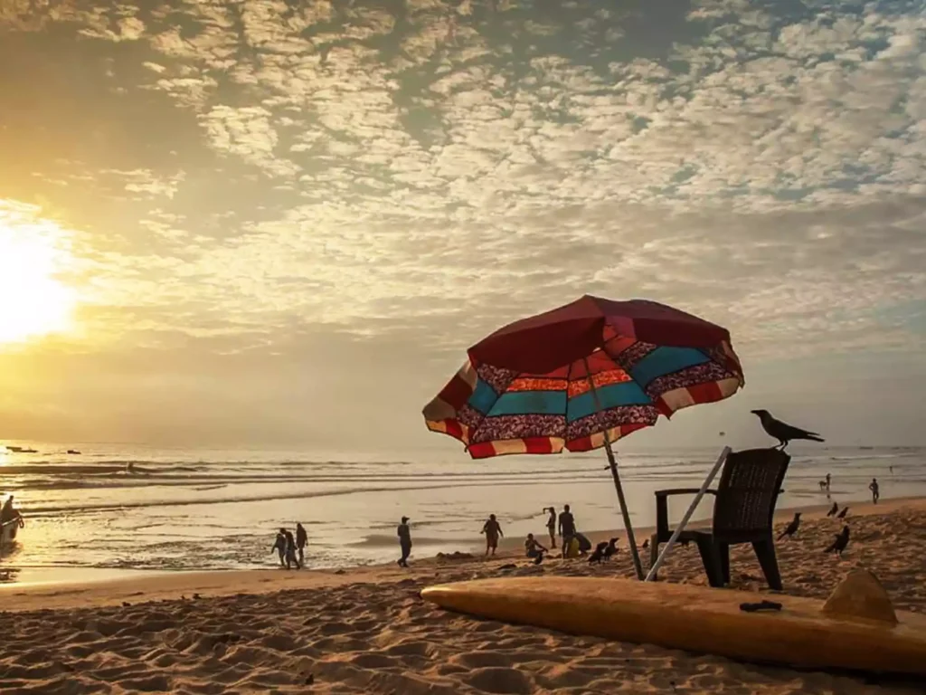 A visit to Goa means a chance to go to its beaches, ride with dolphins, stay in budget-friendly hotels