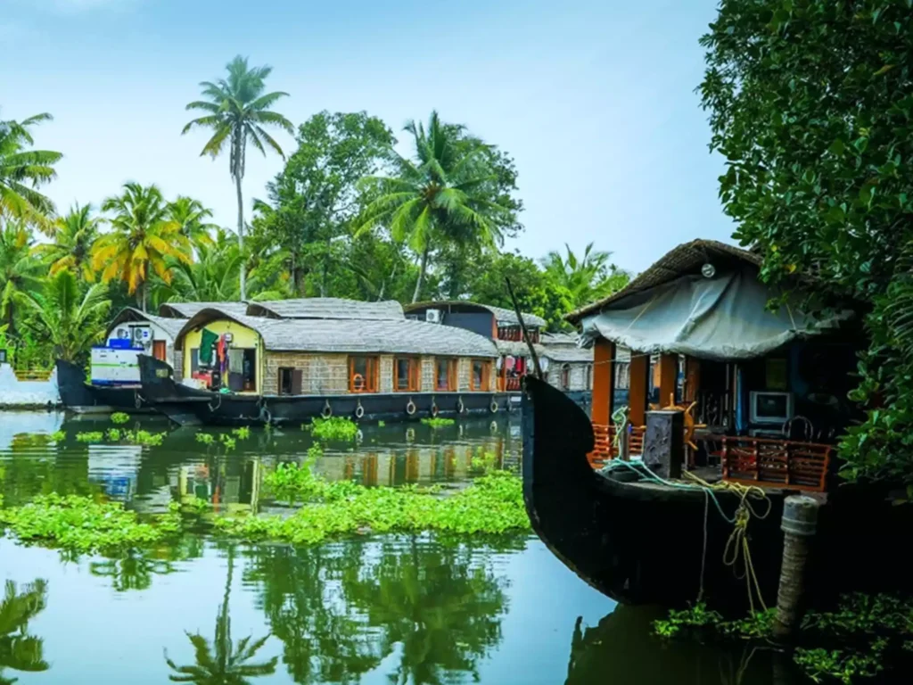 A family houseboat experience in Alleppey or Kumarakom delivers calm mornings, village life