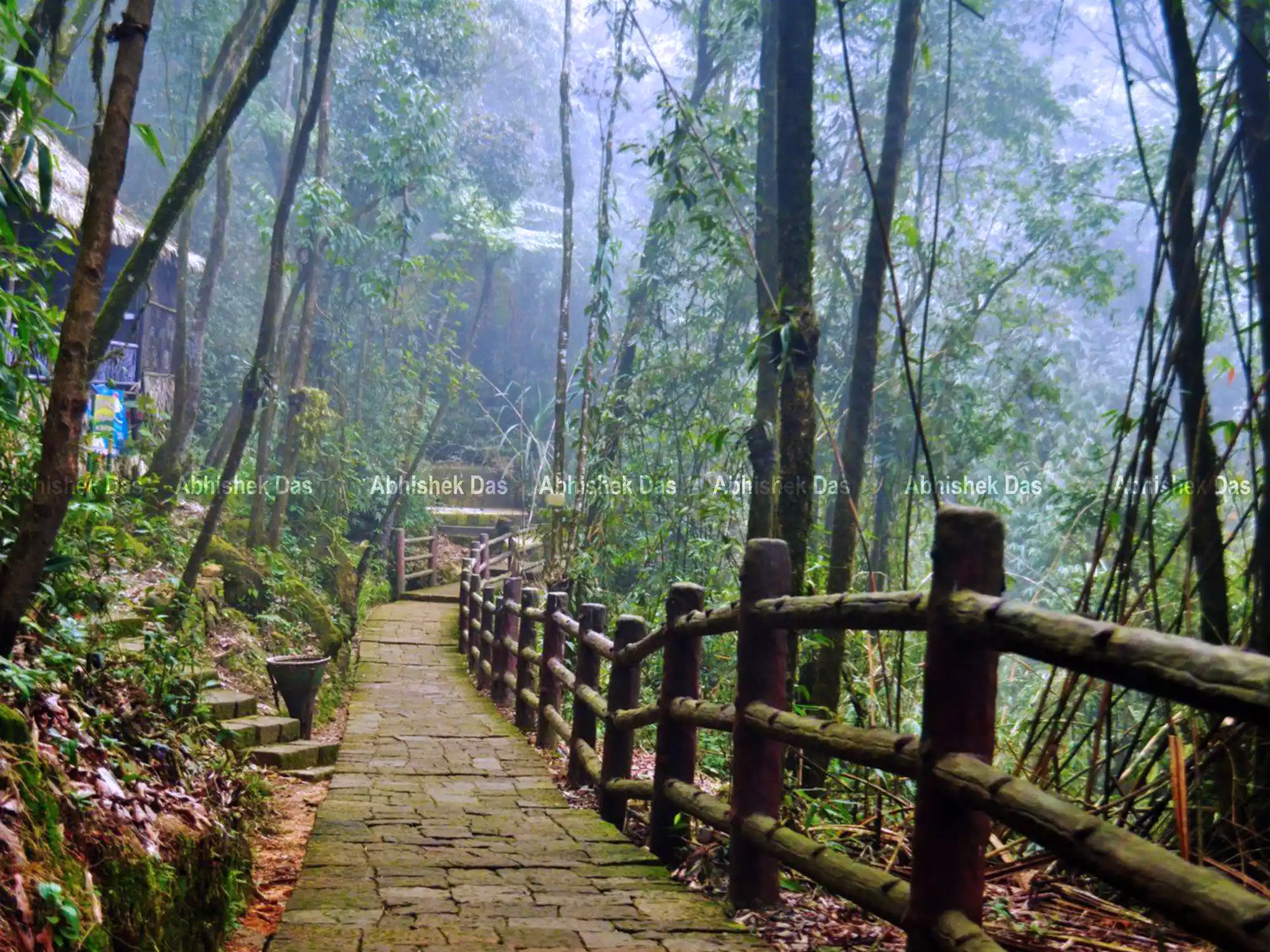 Perfect One-Week Itinerary for North-East India