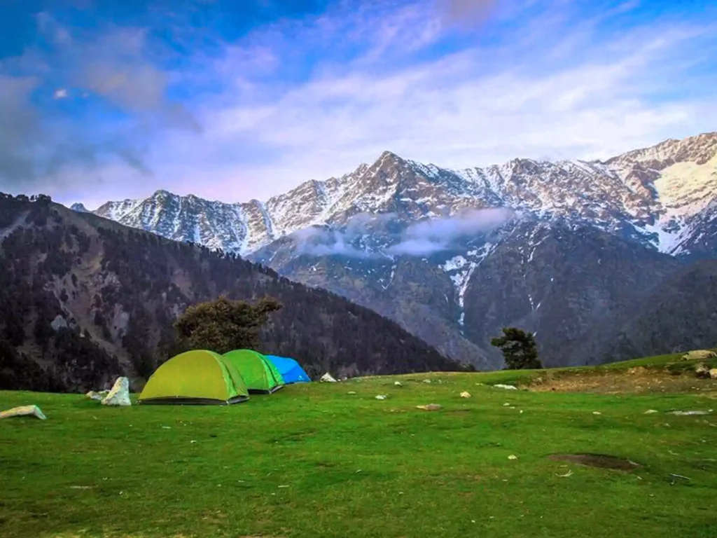 Triund Trek is one of the best for those who are trekking for the first time marked by stunning views of the Dhauladhar mountains