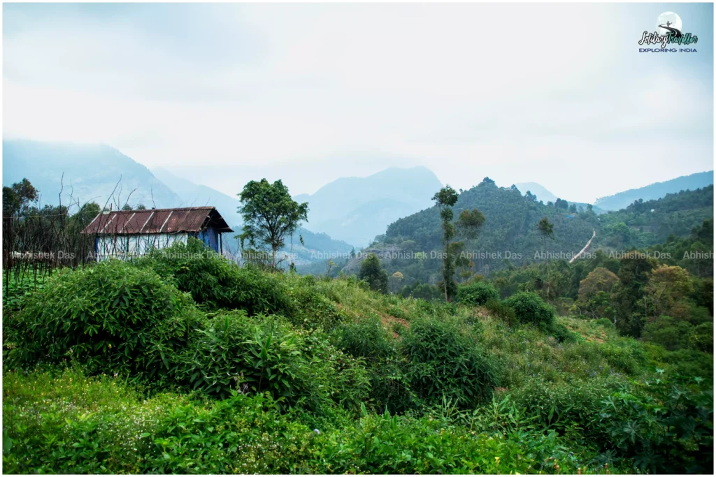 Kerala’s highlands—Vattavada