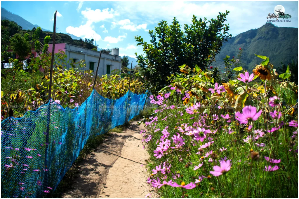 Exploring the Untamed Landscapes Vattavada