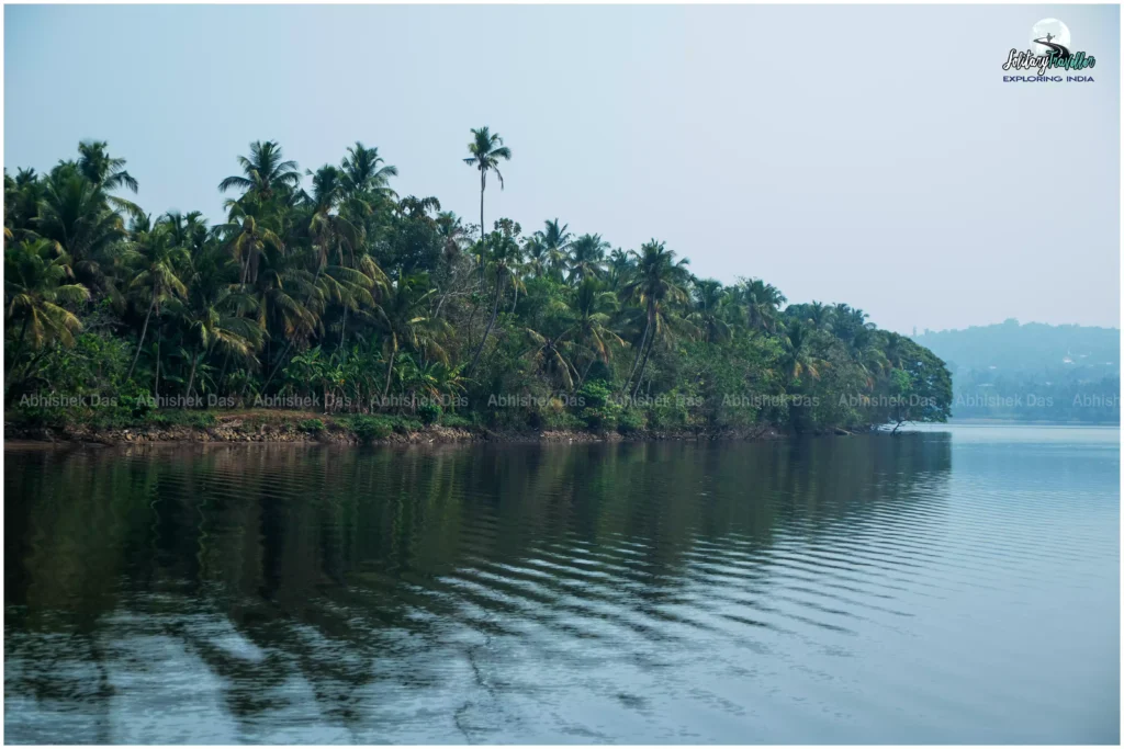 Best Season to Travel to Kerala