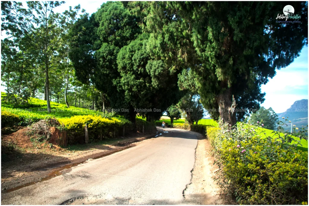 Suryanelli, located near the famous hill town of Munnar