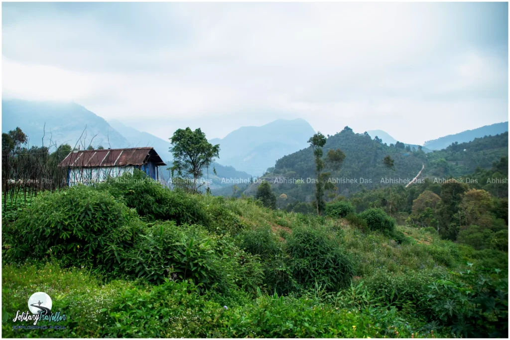 Suryanelli, my next destination was the remote farming village of Vattavada