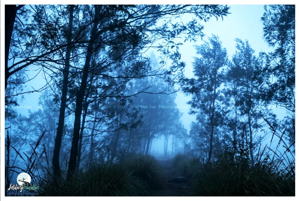Kolukkumalai hoping to witness a spectacular sunrise over the mountains