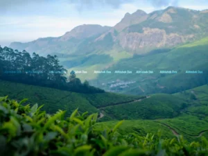 Munnar is often portrayed as a postcard-perfect hill station in Kerala