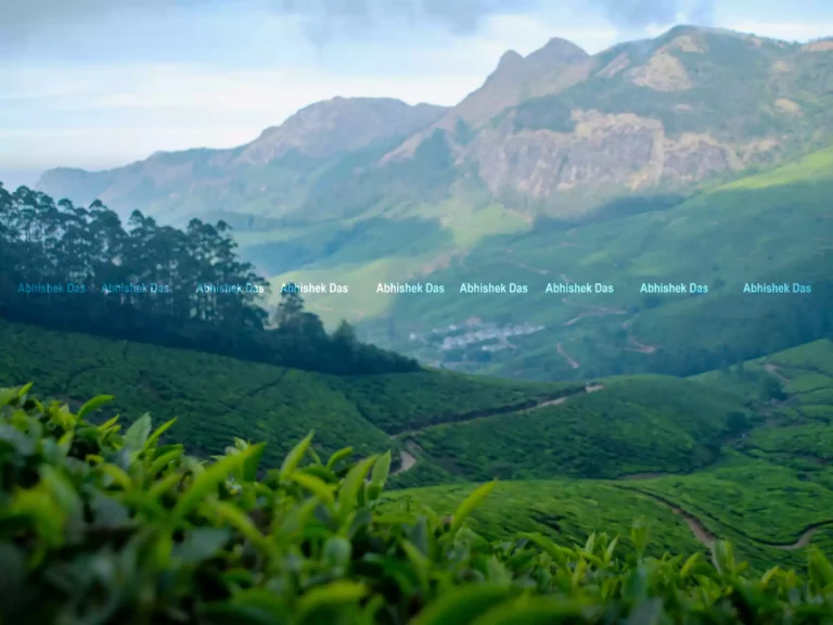 Munnar is often portrayed as a postcard-perfect hill station in Kerala